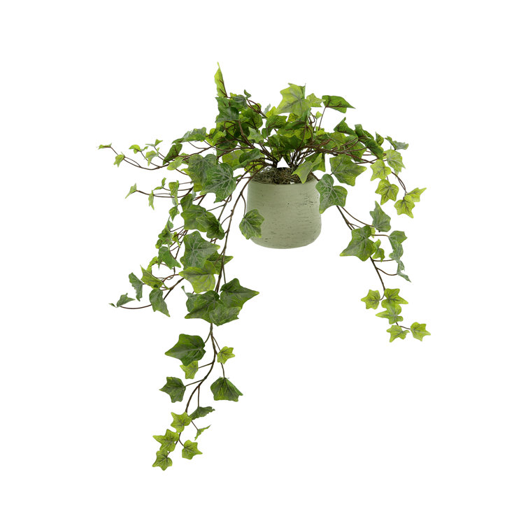 26'' Faux Ivy Plant in Fiberstone Pot & Reviews Birch Lane